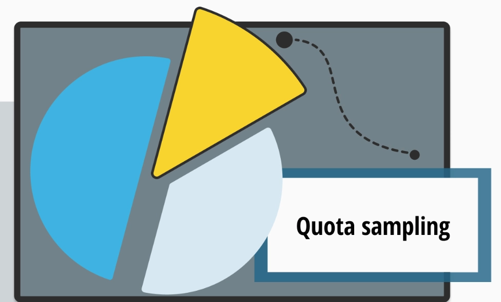 import quota definition