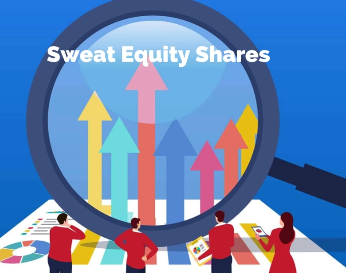 sweat equity vs financial investment