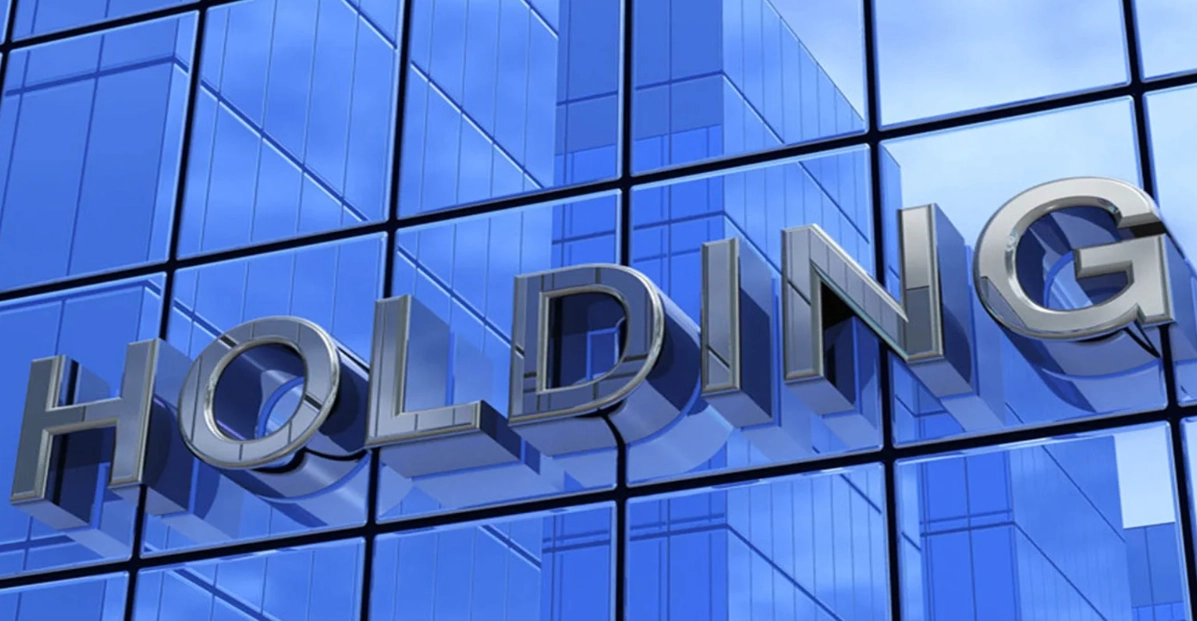 holding company structure