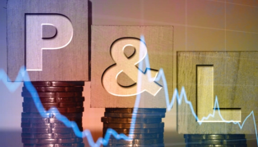 p&l definition