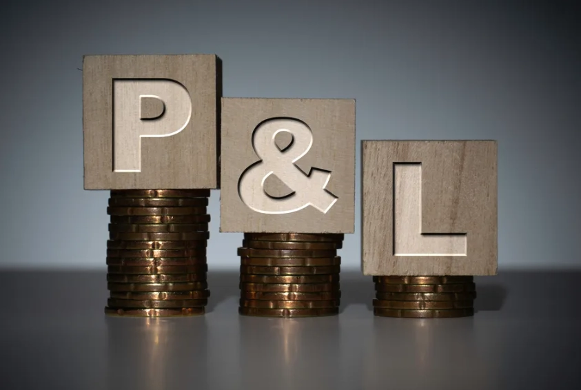 p&l meaning