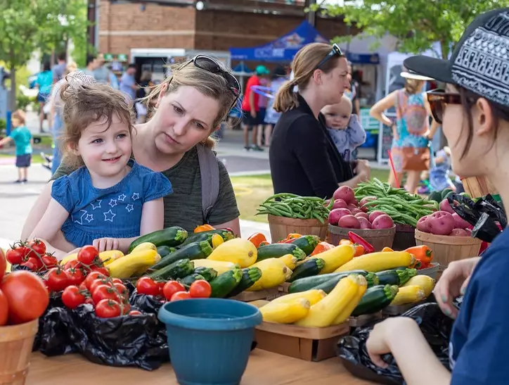 vendor definition vendor definition