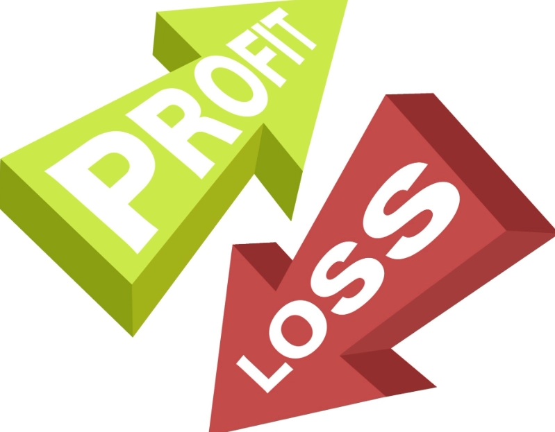 profit and loss statement