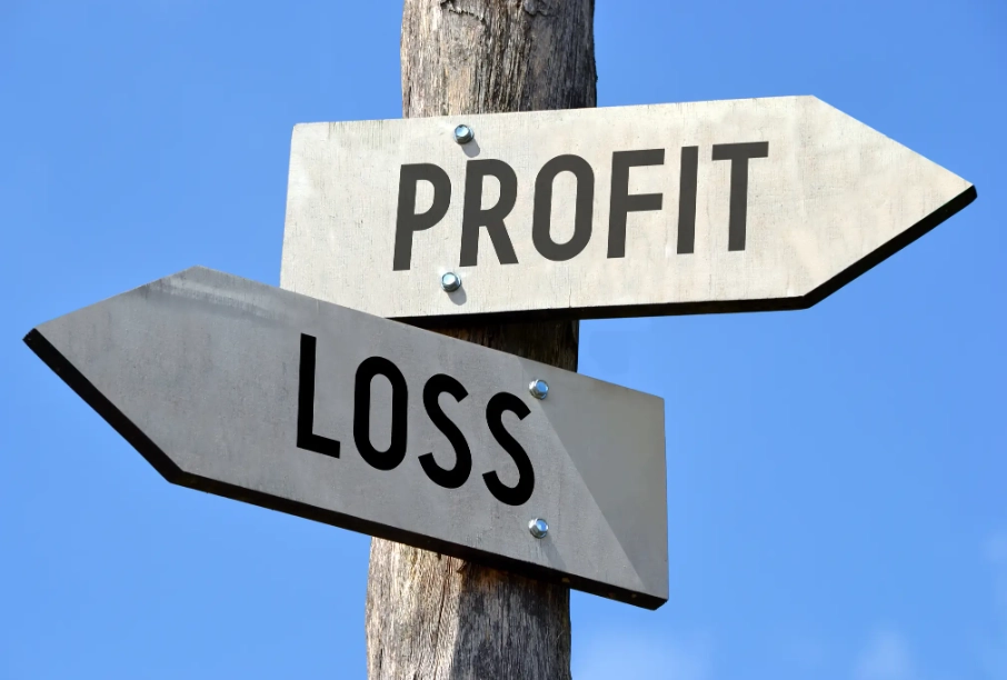 profit and loss statement