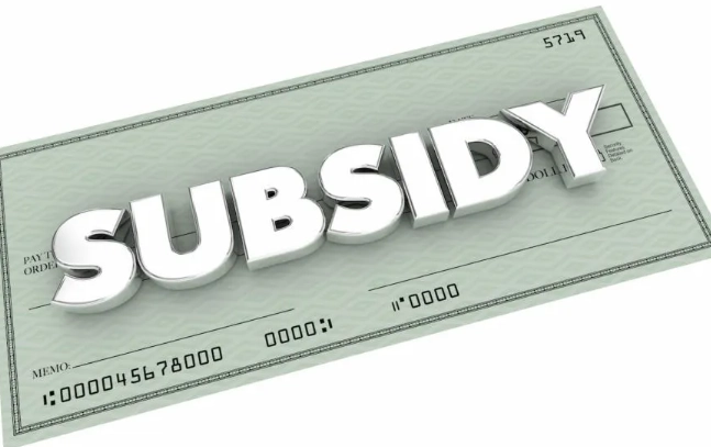 subsidy definition subsidy definition