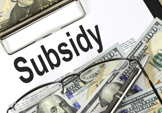 government subsidy government subsidy