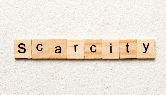 economic scarcity definition