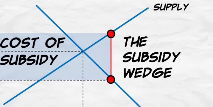 types of subsidies types of subsidies