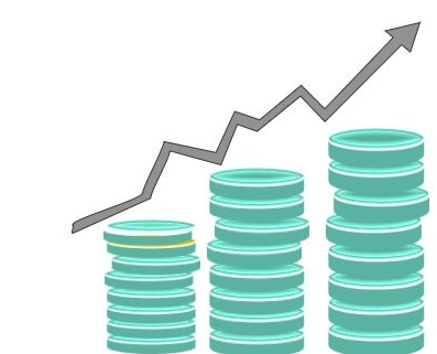 importance of capital