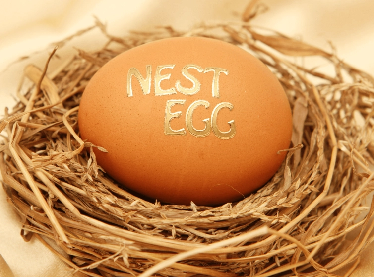 nest egg