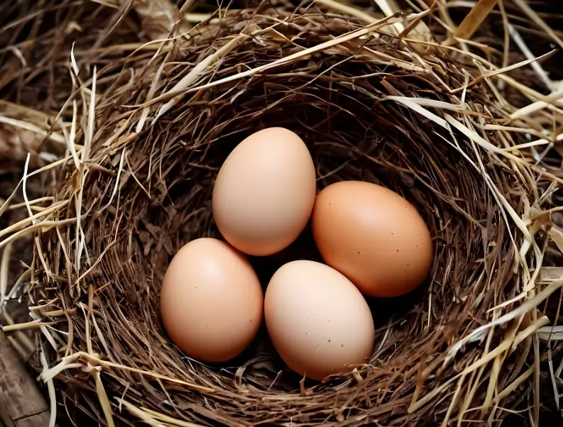 long-term financial planning