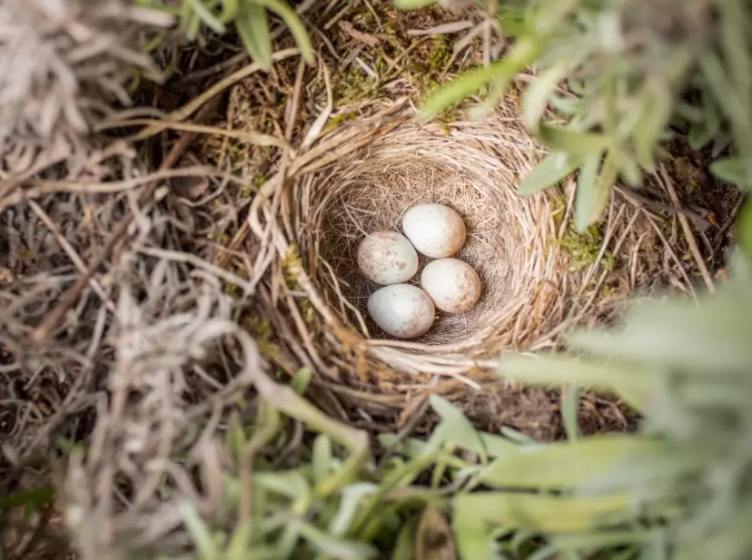 retirement savings strategies