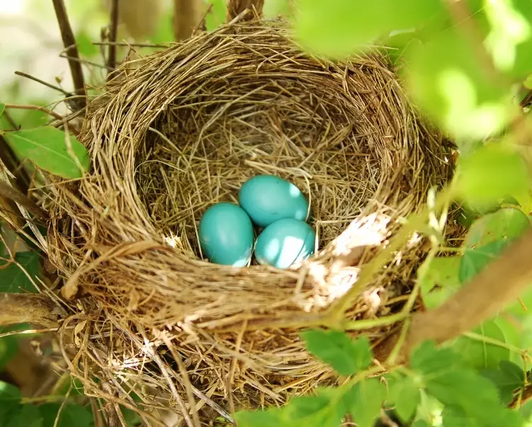 investment portfolio building