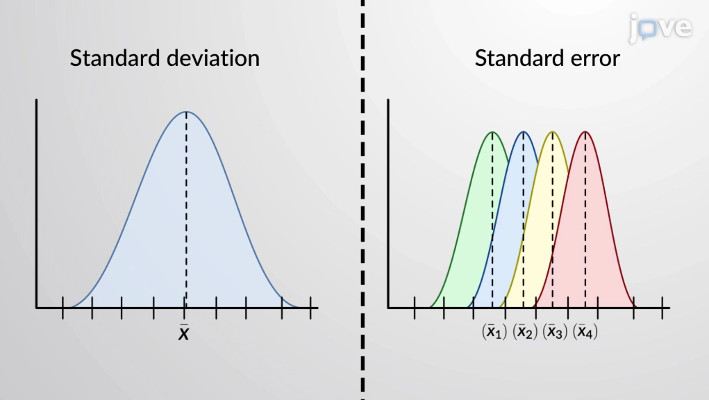 how to calculate standard error